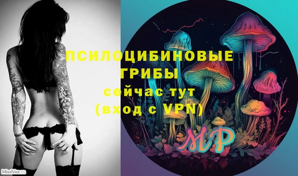 MDMA Premium VHQ Козельск